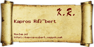 Kapros Róbert névjegykártya
